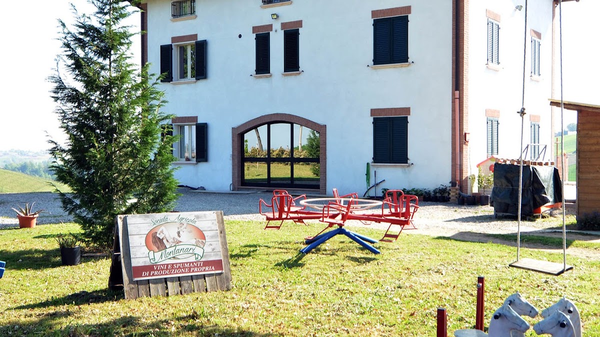Cantina Montanari Silvano - Vino Castelvetro — Ristorante a Modena, Modena