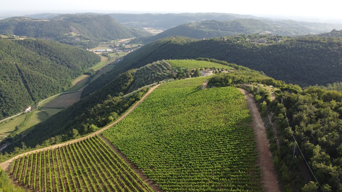 Cantina Del Rèbene - Vino, Olio extravergine e ospitalità — Ristorante a Vicenza, Vicenza