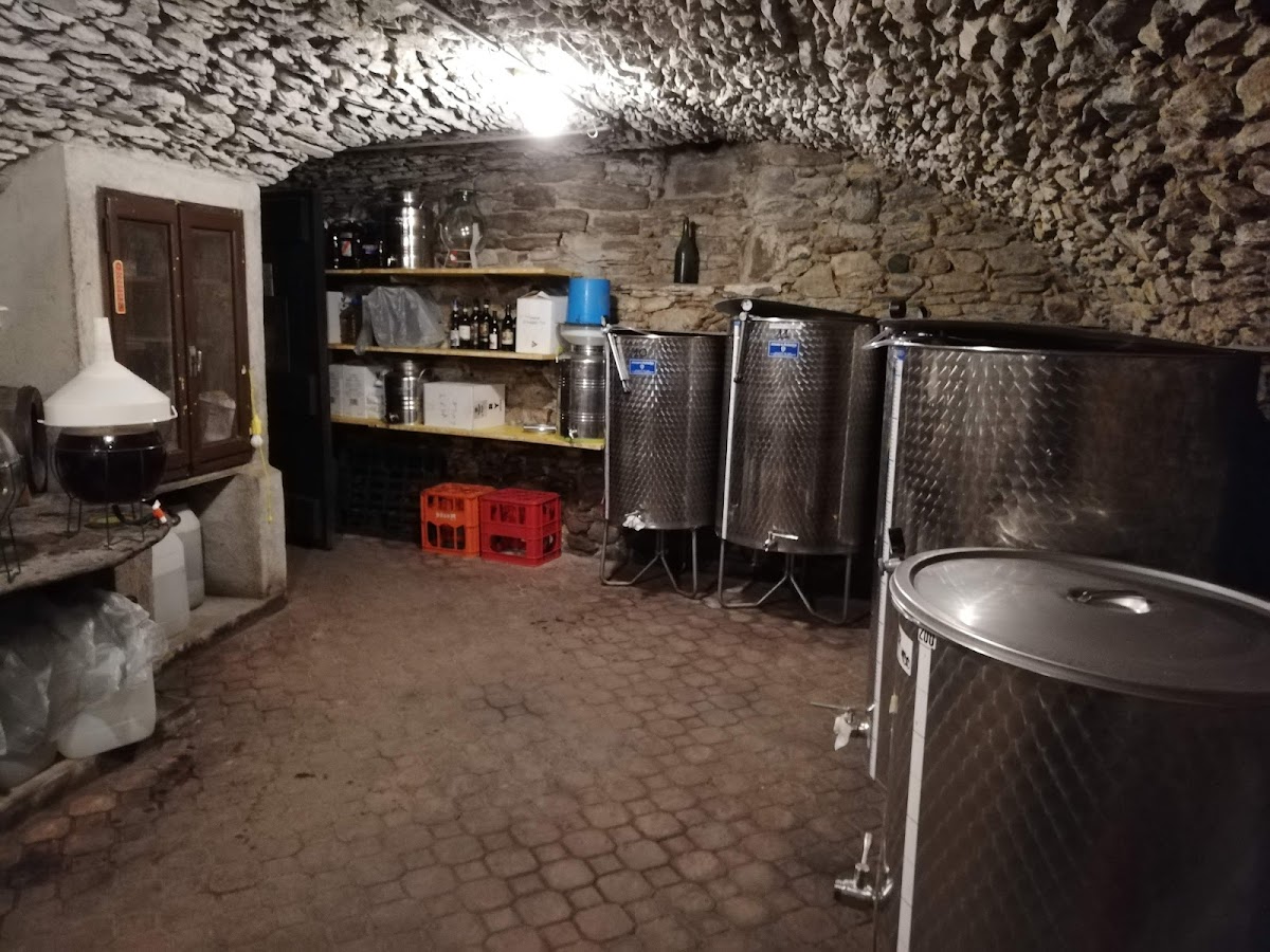 Azienda Vitivinicola Diego Curtaz — Ristorante a Cogne, Aosta
