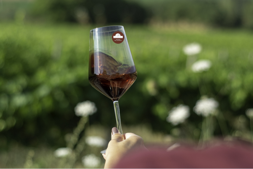 Piccola Cantina Rossi - Vini Biologici Naturali — Ristorante a Perugia, Perugia