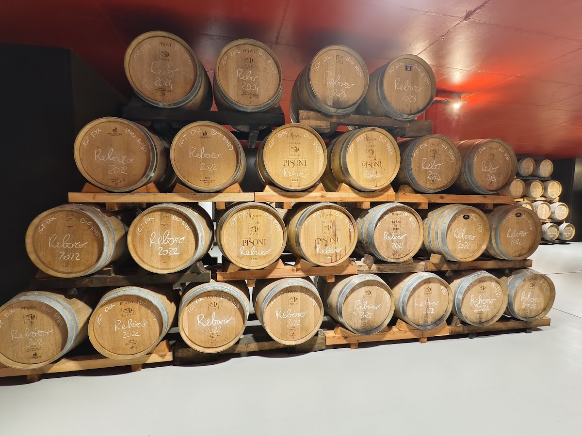 Azienda Agricola Cantina Fratelli Pisoni