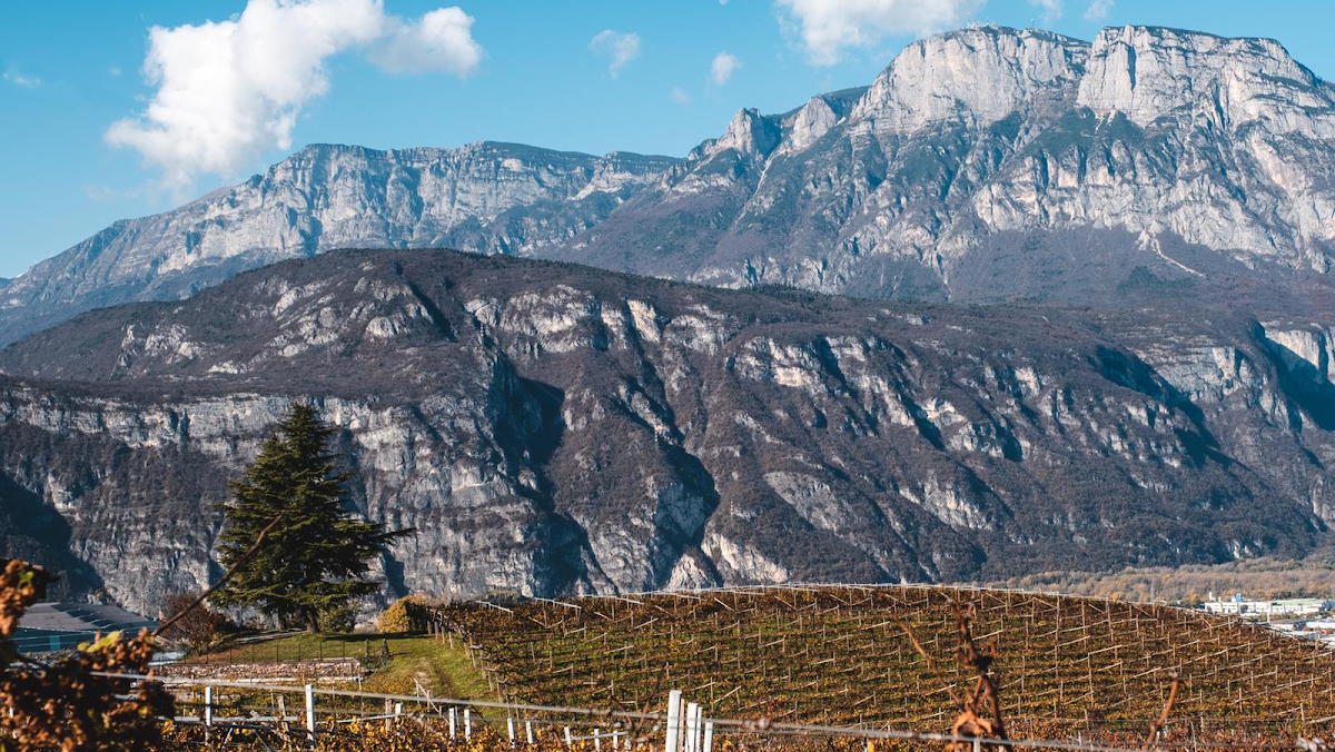 Moser Trento — Ristorante a Trento, Trento