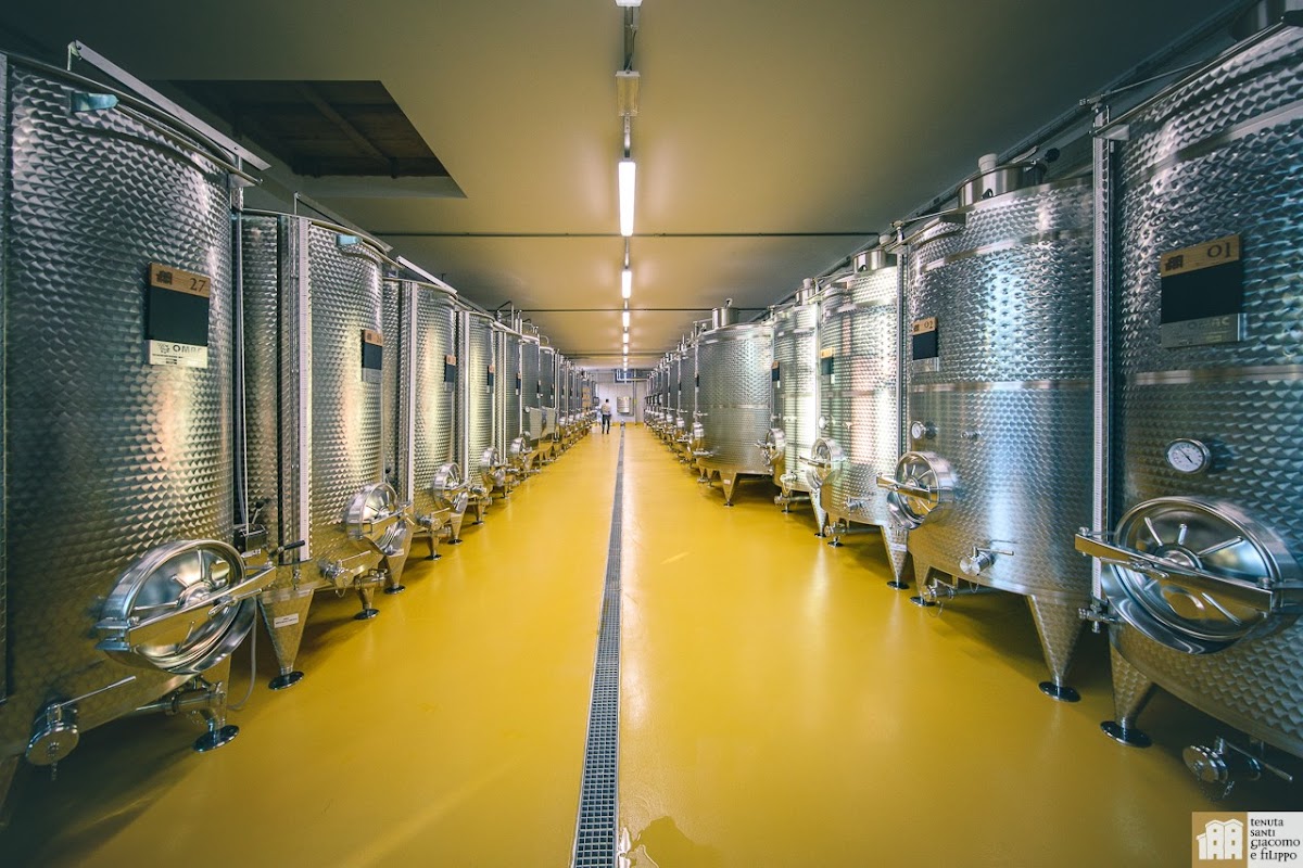 Cantina - Società Agricola Bruscoli Marianna — Ristorante a Urbino, Pesaro e Urbino