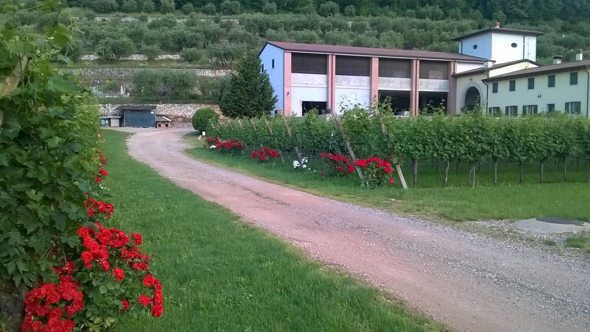 Cantina Lavagnoli — Ristorante a Verona, Verona