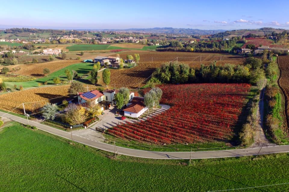 Fattoria Moretto - Cantina — Ristorante a Modena, Modena