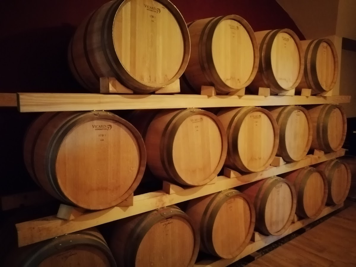 Alte Vigne della Val Camastra