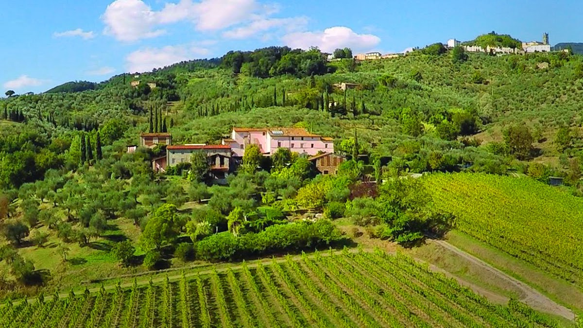 Fattoria COLLE VERDE — Ristorante a Lucca, Lucca
