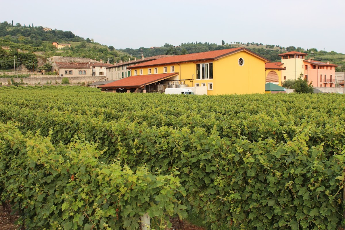 Cantina Monte Cillario — Ristorante a Verona, Verona