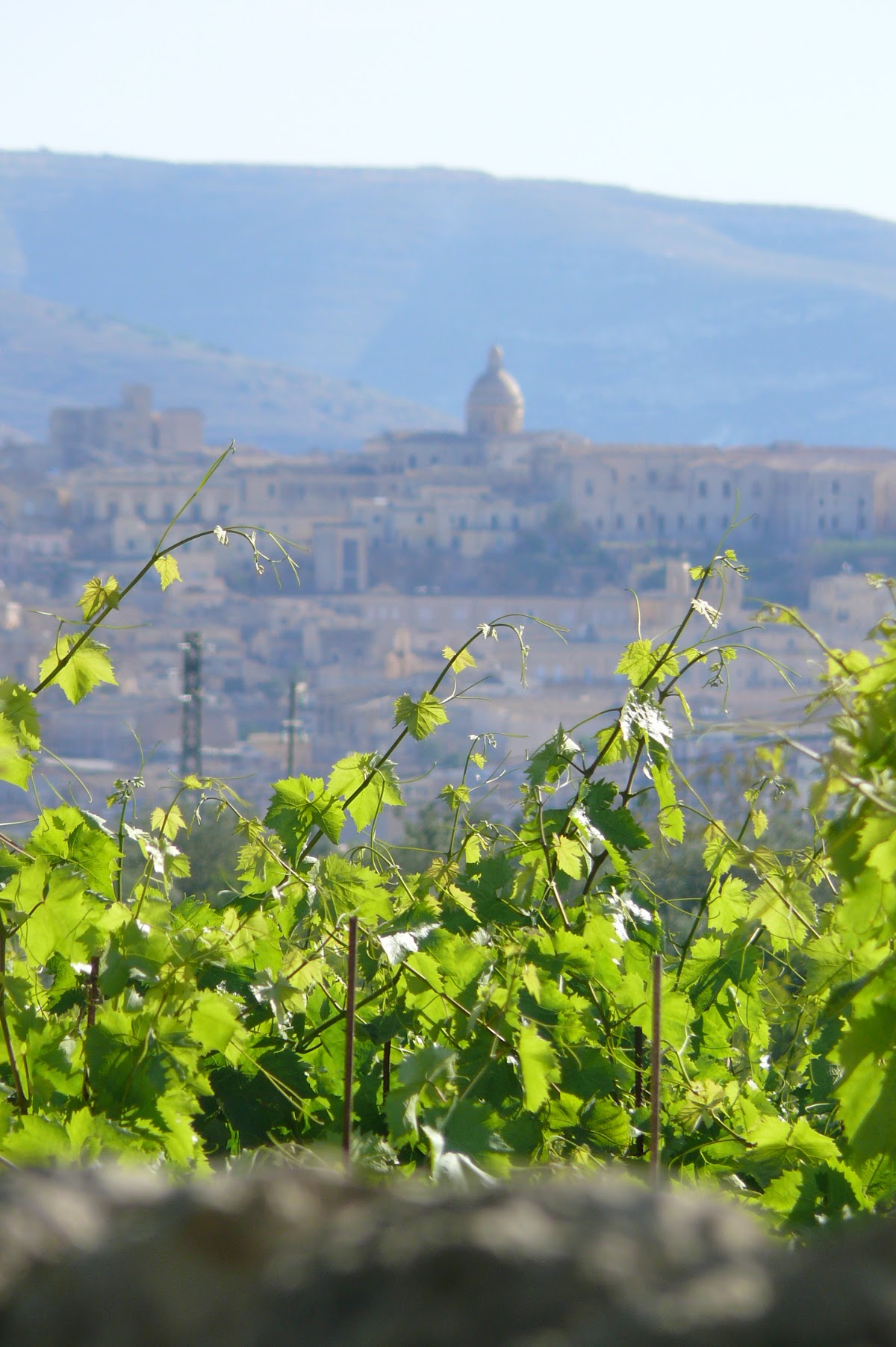 Zisola Azienda Vinicola — Ristorante a Siracusa, Siracusa