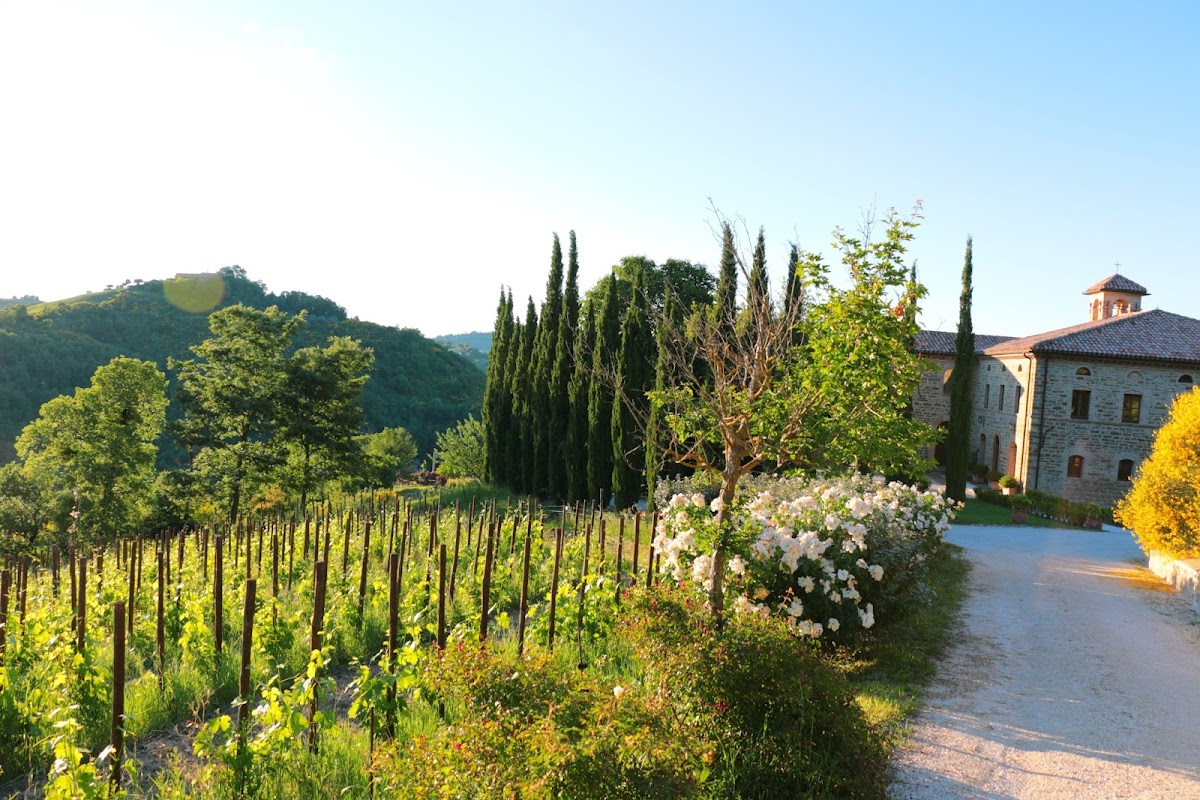 TENUTA BARONI CAMPANINO — Ristorante a Assisi, Perugia