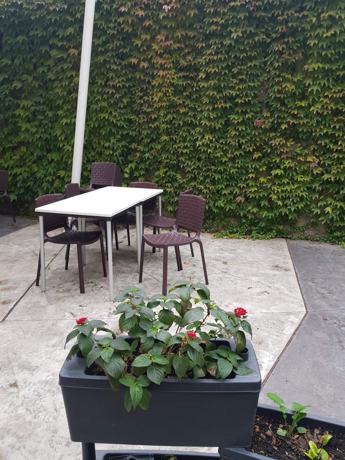 Sfizio — Ristorante a Melfi, Potenza