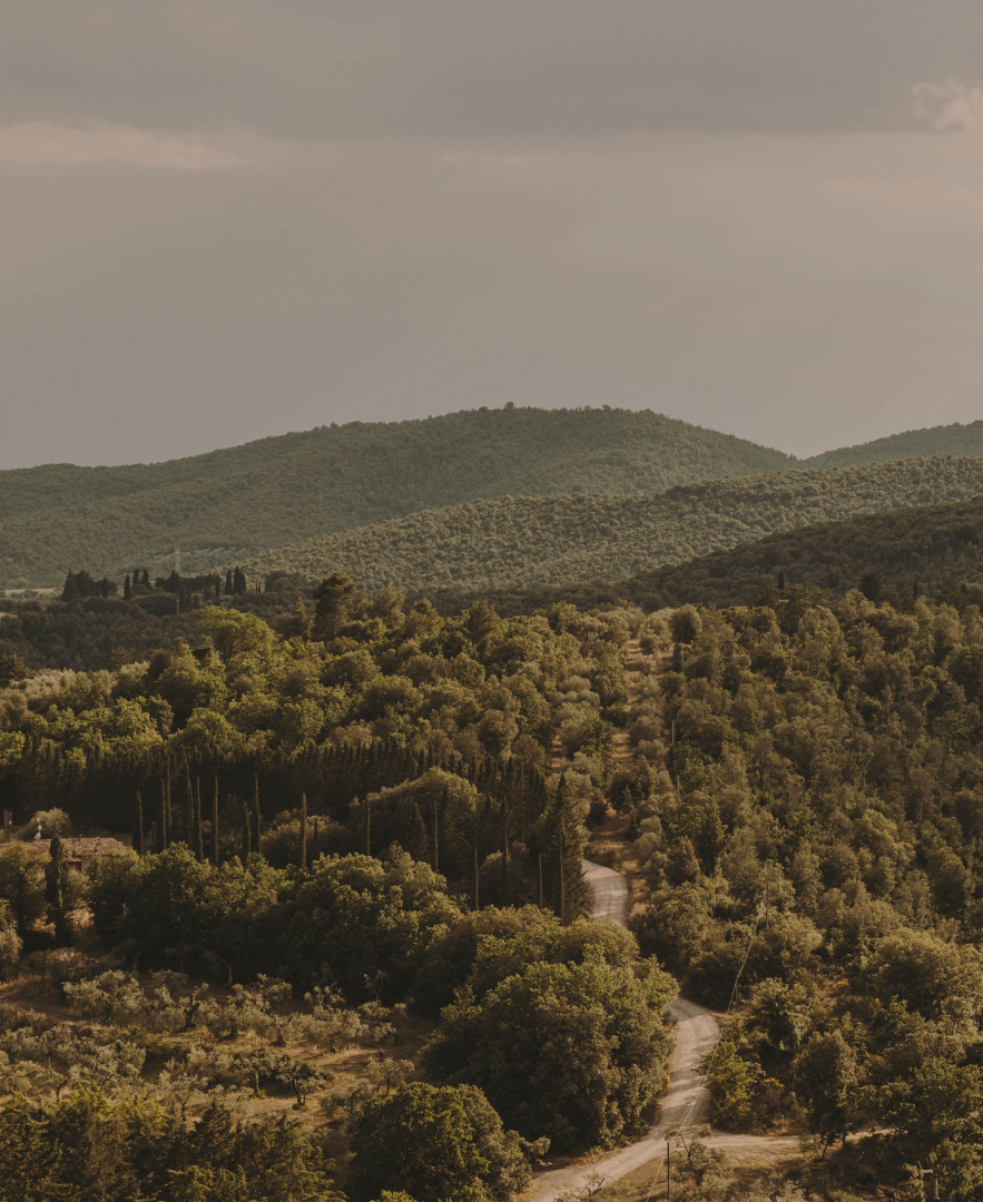 Cantina Monte Vibiano — Ristorante a Perugia, Perugia