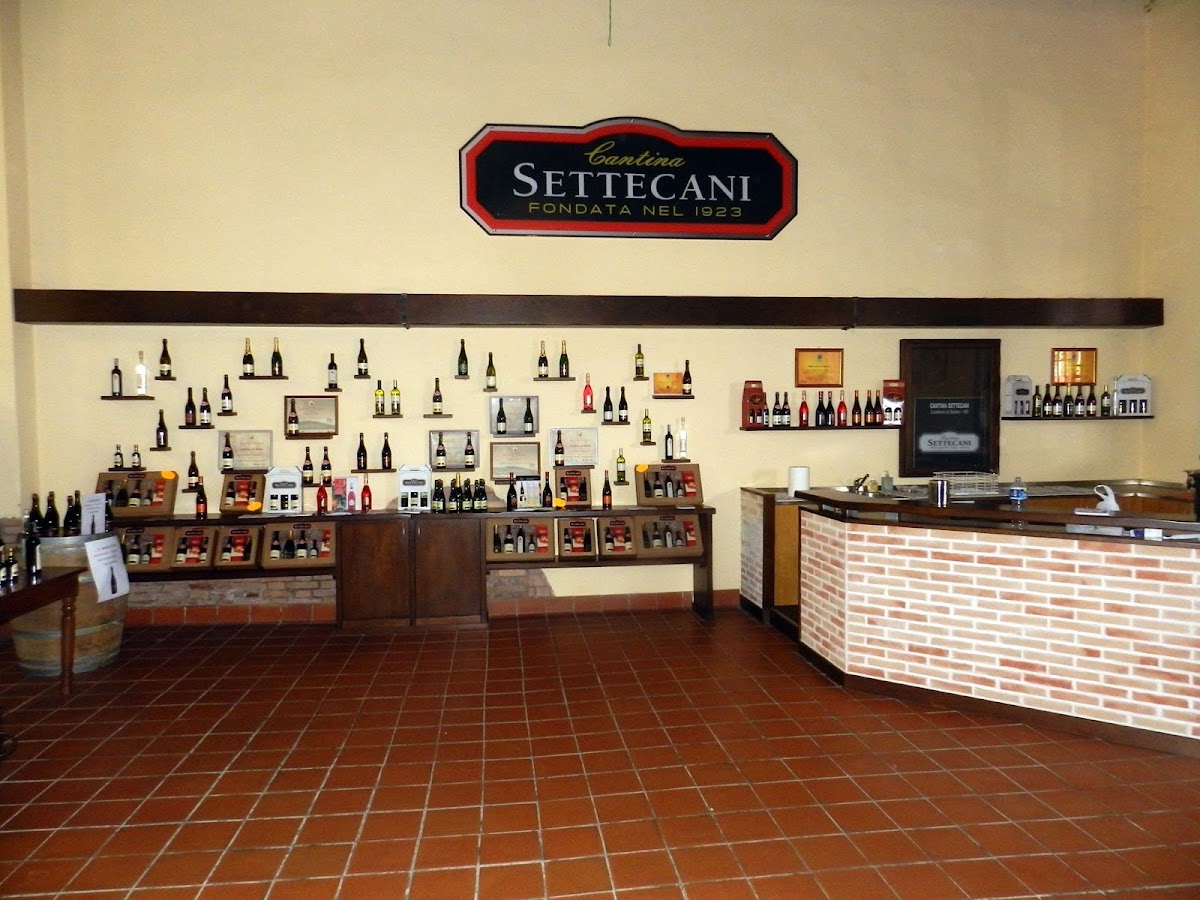 Cantina Settecani Castelvetro — Ristorante a Modena, Modena