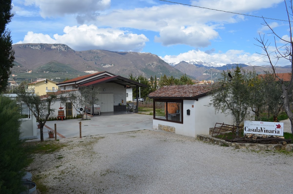 Casula Vinaria Azienda Vitivinicola Bio — Ristorante a Salerno, Salerno