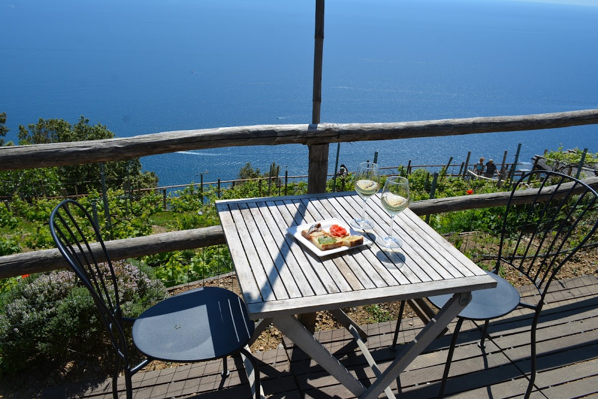 Cantina Capellini - Agrivino