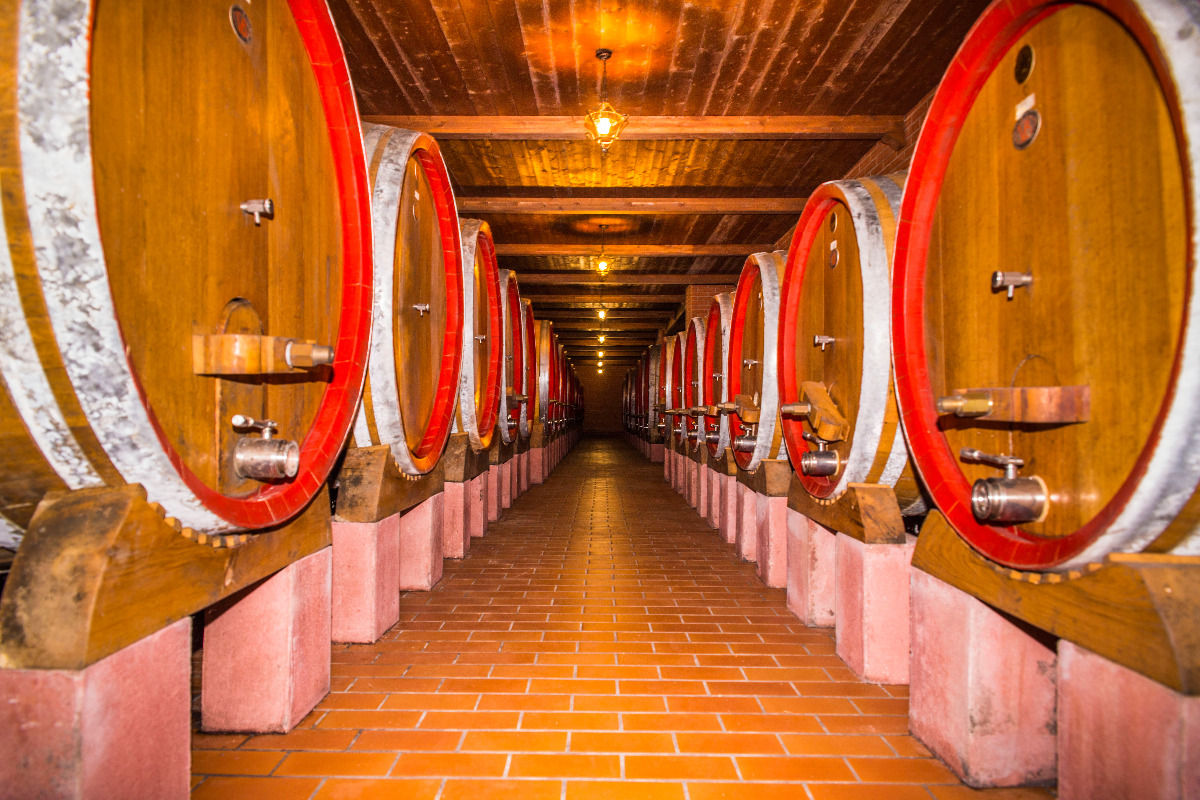 Cantina Di Biase F.Lli E C. S.Agric.S. — Ristorante a Pescara, Pescara