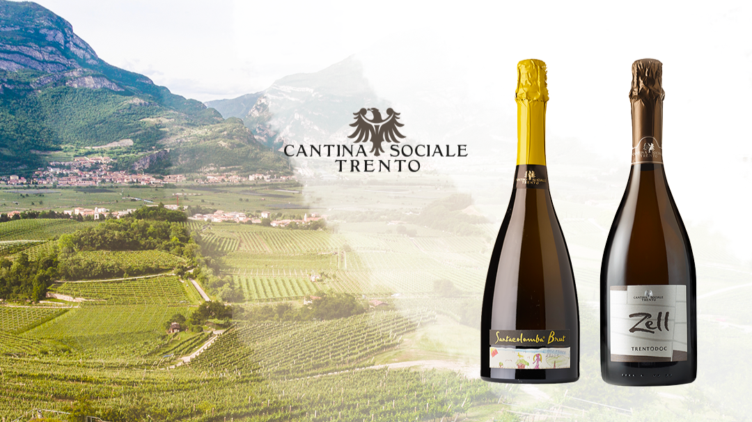 Cantina Sociale di Trento — Ristorante a Trento, Trento