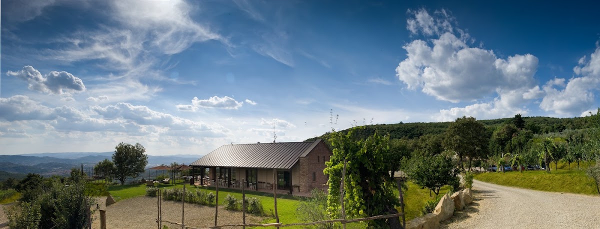 Pomaio • Wines & Hospitality — Ristorante a Arezzo, Arezzo