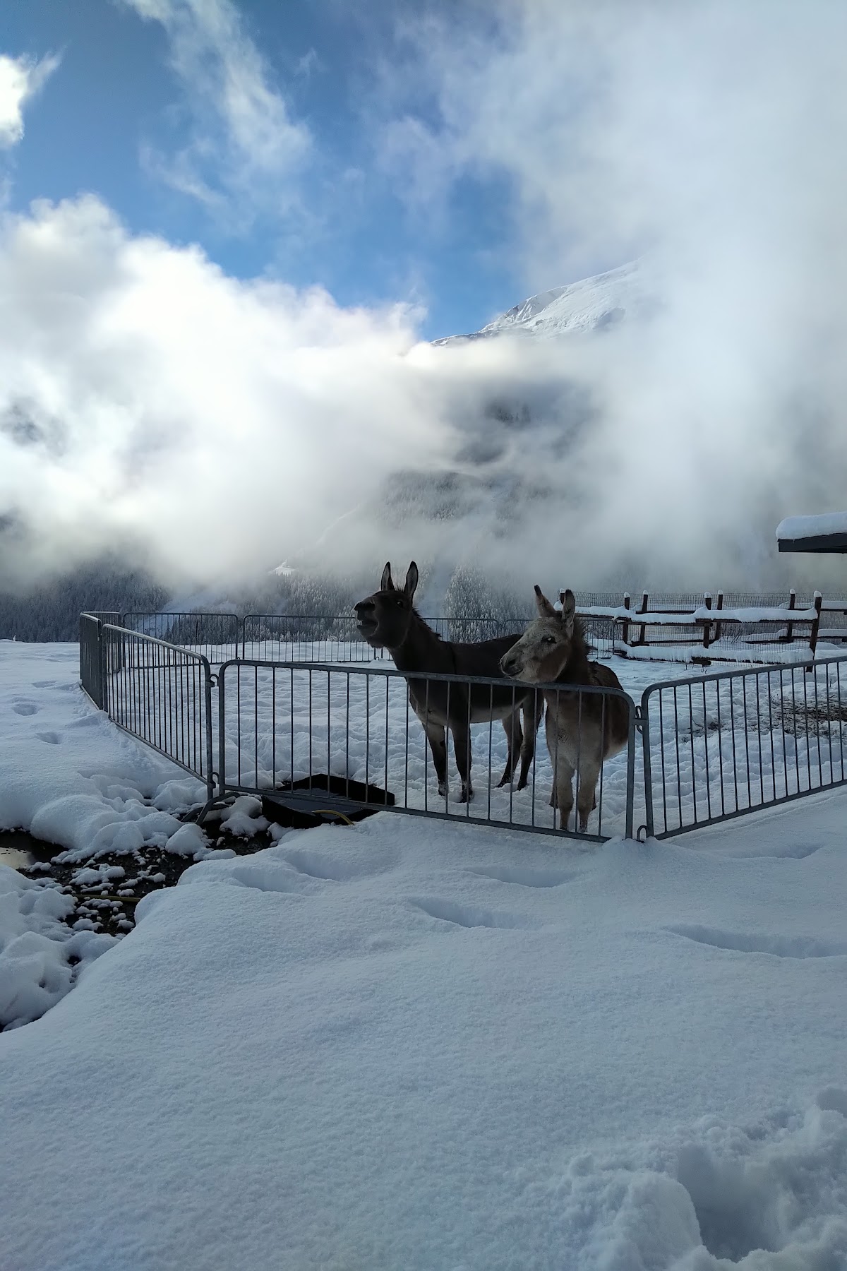 Azienda agricola Garin — Ristorante a Cogne, Aosta