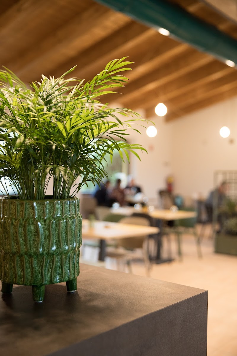 Bistrot Industriale — Ristorante a Mondovì, Cuneo