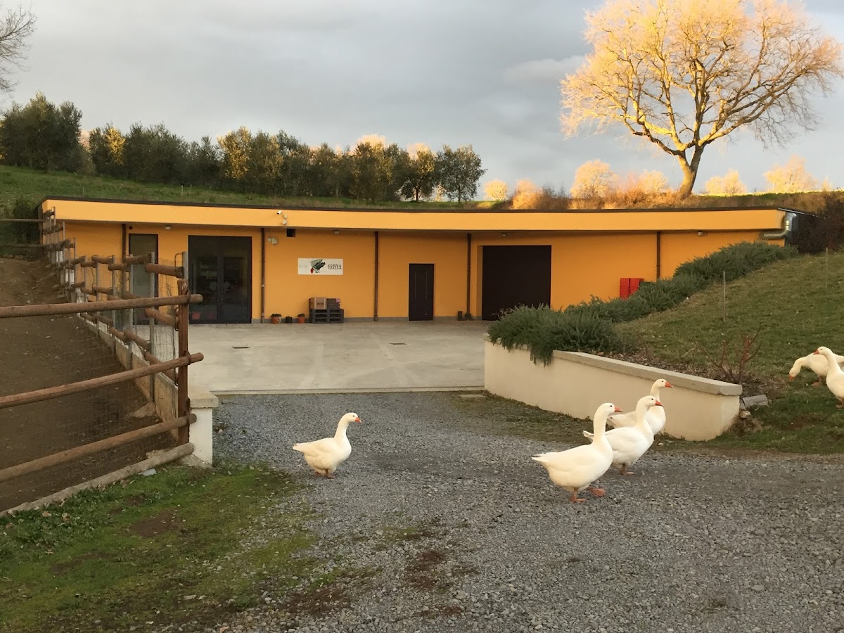 Az. Agr. Corvagialla — Ristorante a Civita di Bagnoregio, Viterbo