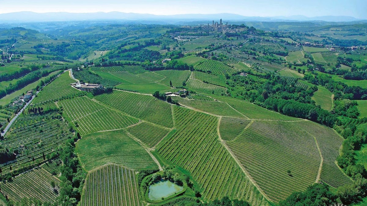 Casale Falchini — Ristorante a San Gimignano, Siena
