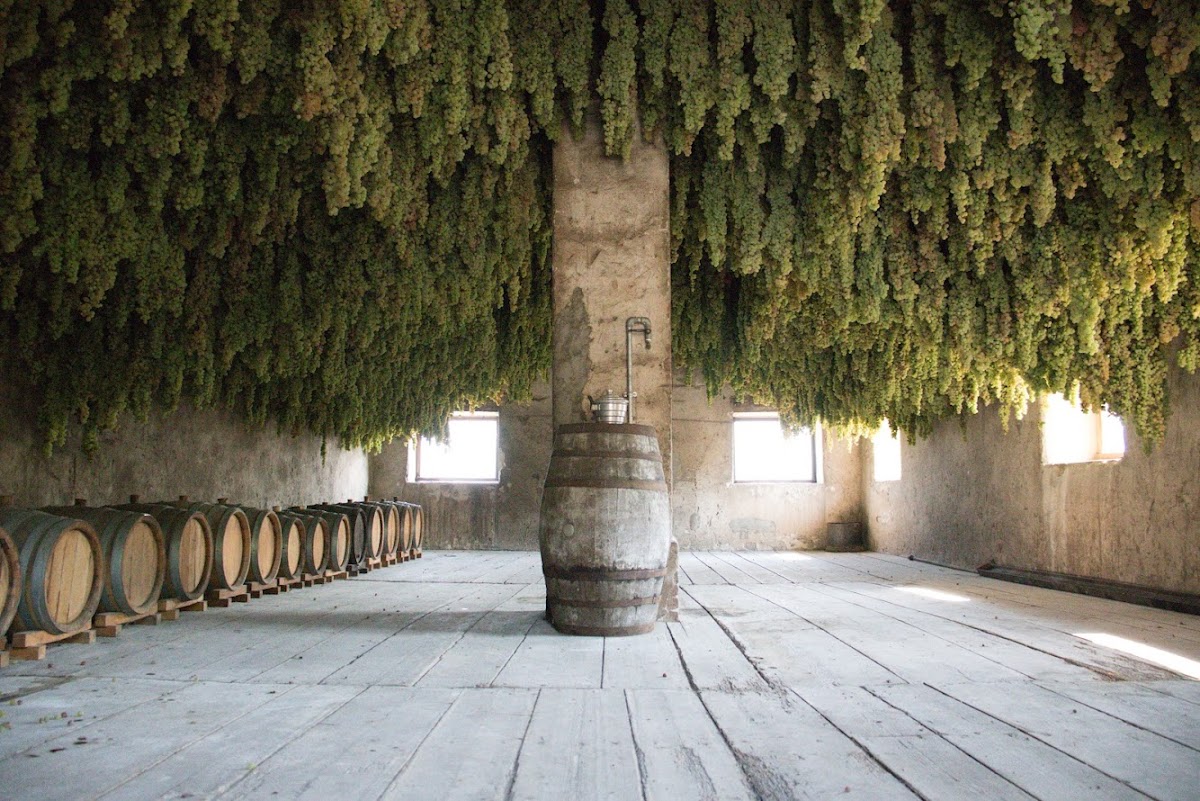 MENTI Giovanni cantina e vigneti - winery & vineyards — Ristorante a Vicenza, Vicenza