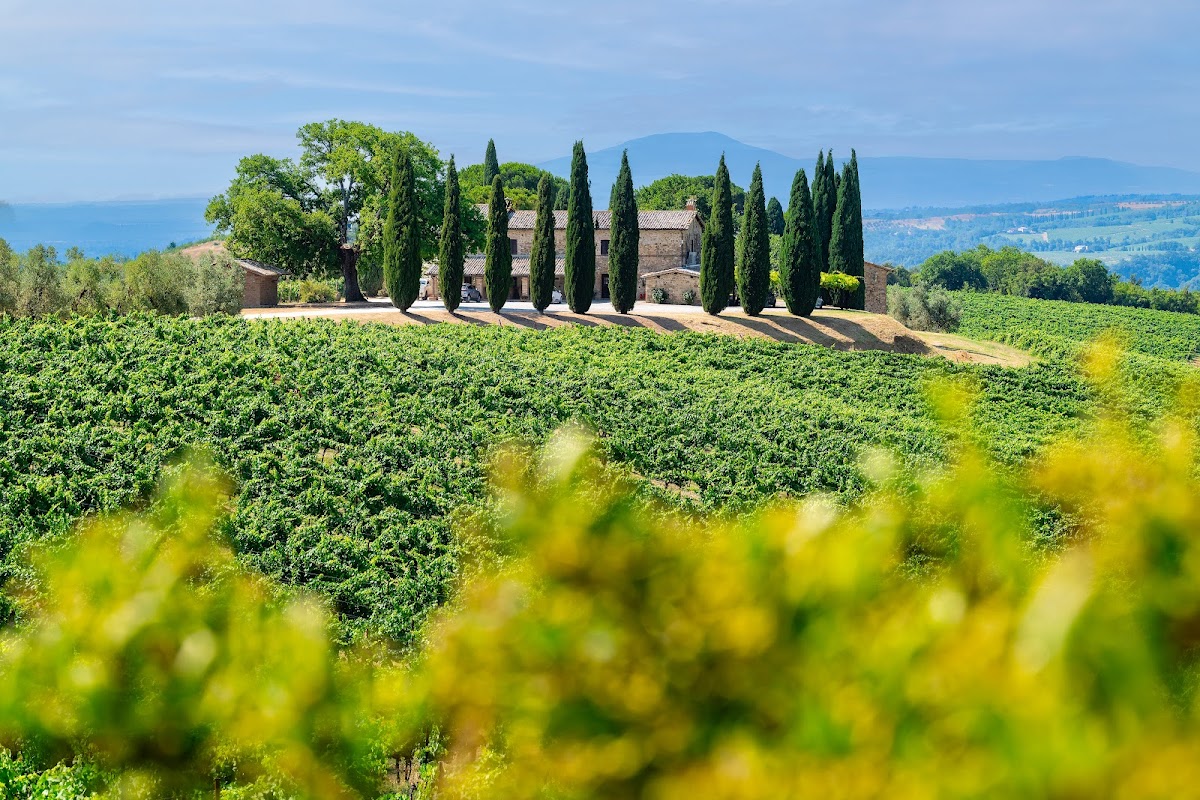 Decugnano dei Barbi — Ristorante a Orvieto, Terni