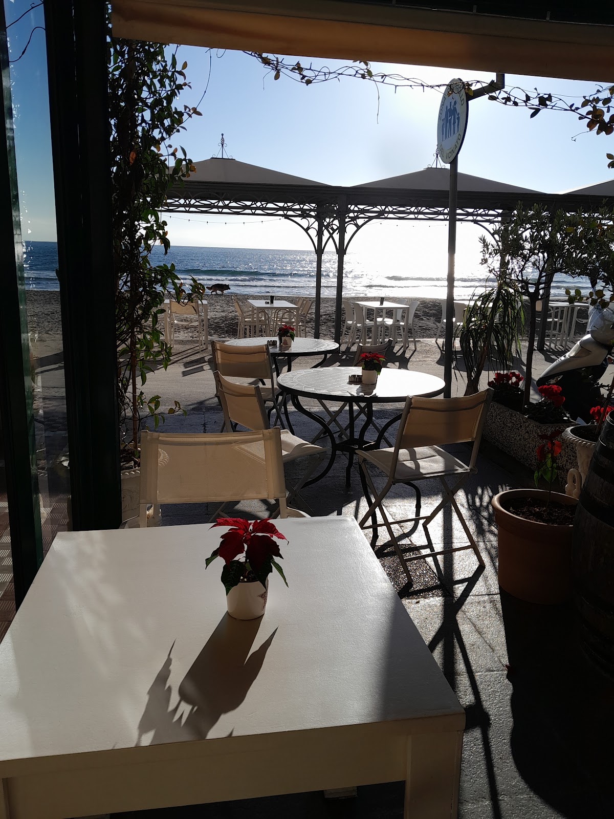 La Cambusa ristorante specialità di mare Alassio