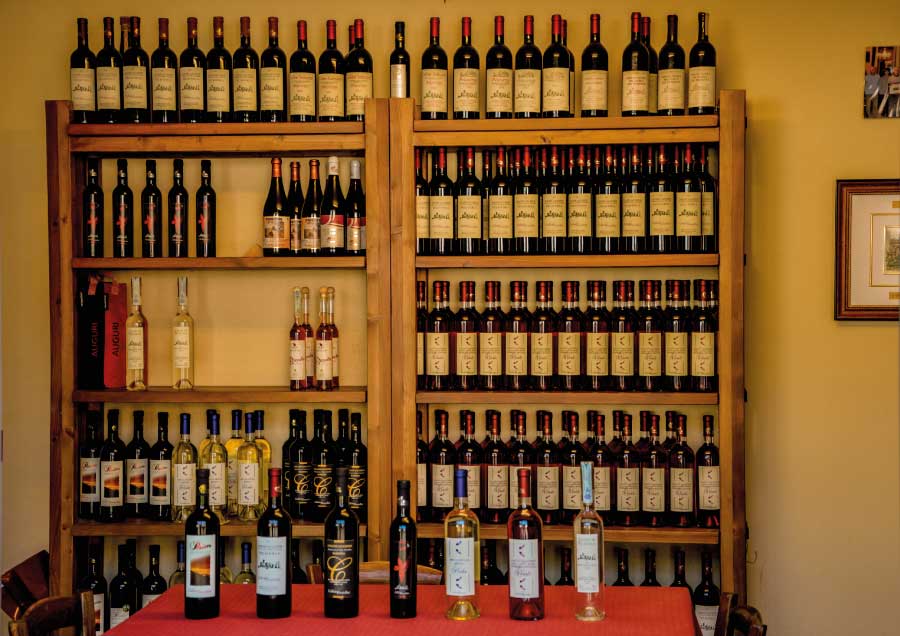 Vino Pelaverga - Cantina Produttori Pelaverga — Ristorante a Saluzzo, Cuneo