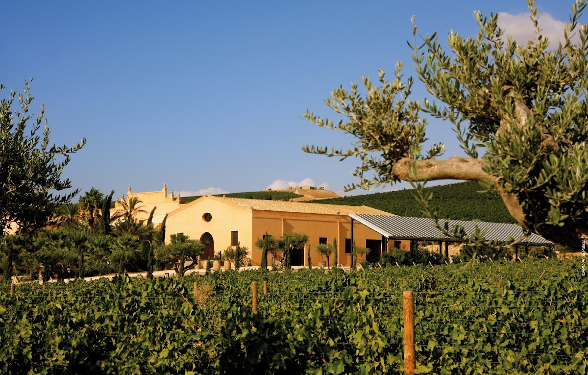 Tenuta di Donnafugata, Contessa Entellina — Ristorante a Palermo, Palermo