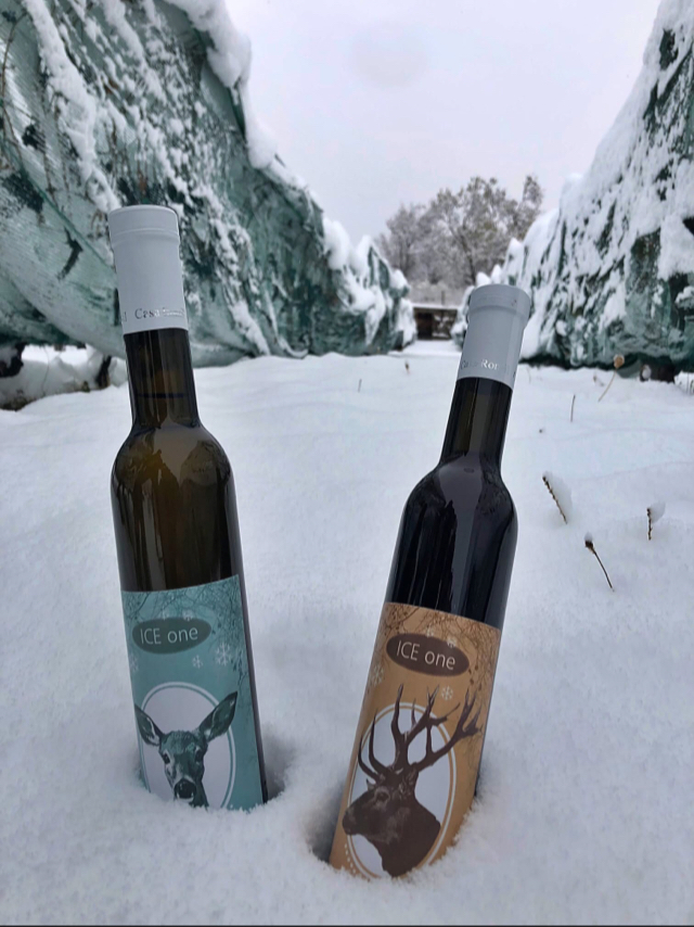 Casa Ronsil Wine — Ristorante a Sestriere, Torino