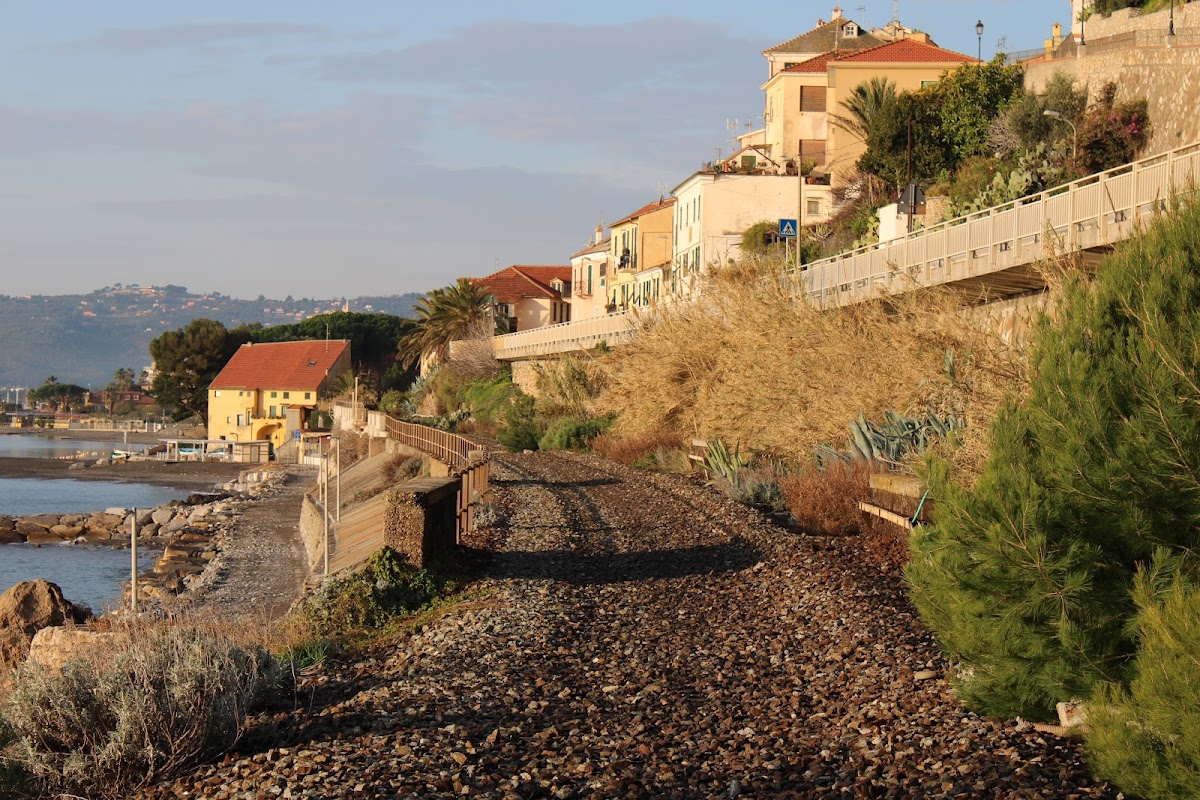 Le Nereidi