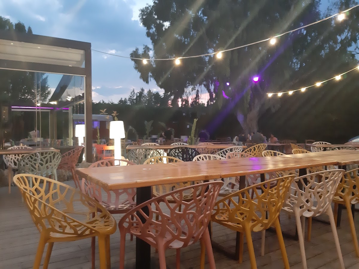 Le Tavernelle Paestum — Ristorante a Paestum, Salerno