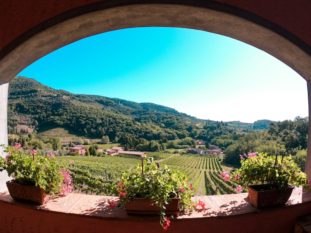 Greo winery — Ristorante a Lucca, Lucca