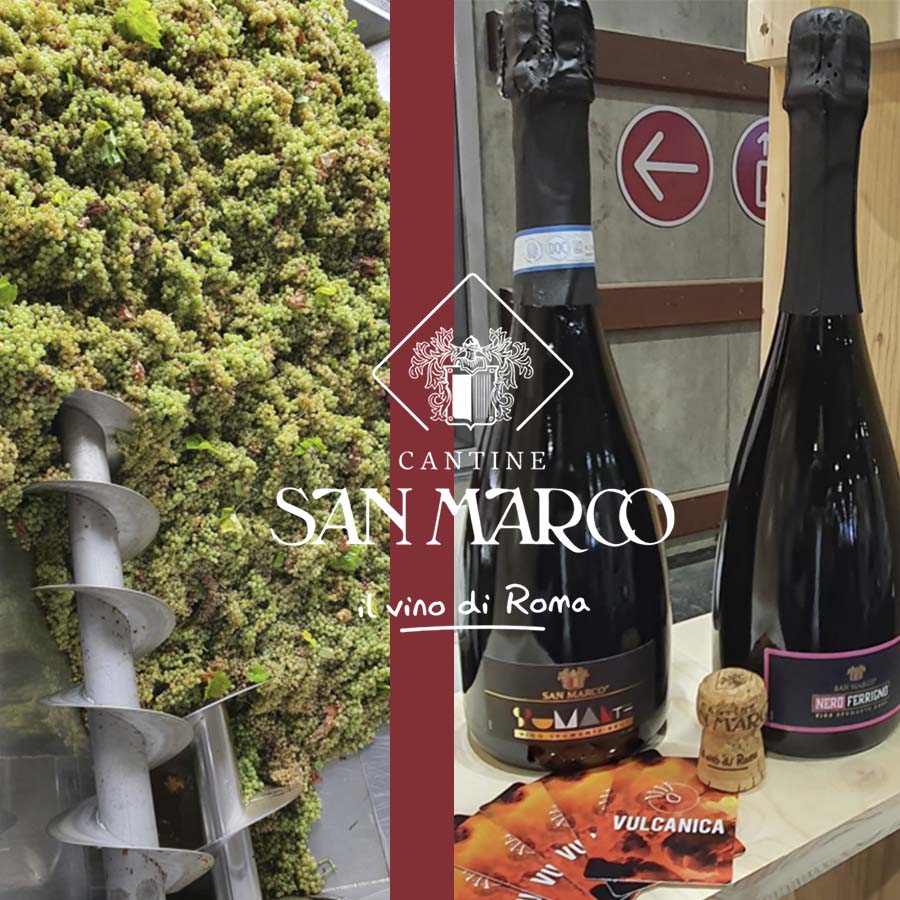 Cantine San Marco S.r.l. — Ristorante a Frascati, Roma