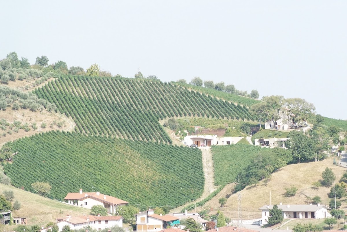 Vignaioli Contrà Soarda — Ristorante a Bassano del Grappa, Vicenza