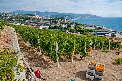Podere Grecale — Ristorante a Sanremo, Imperia