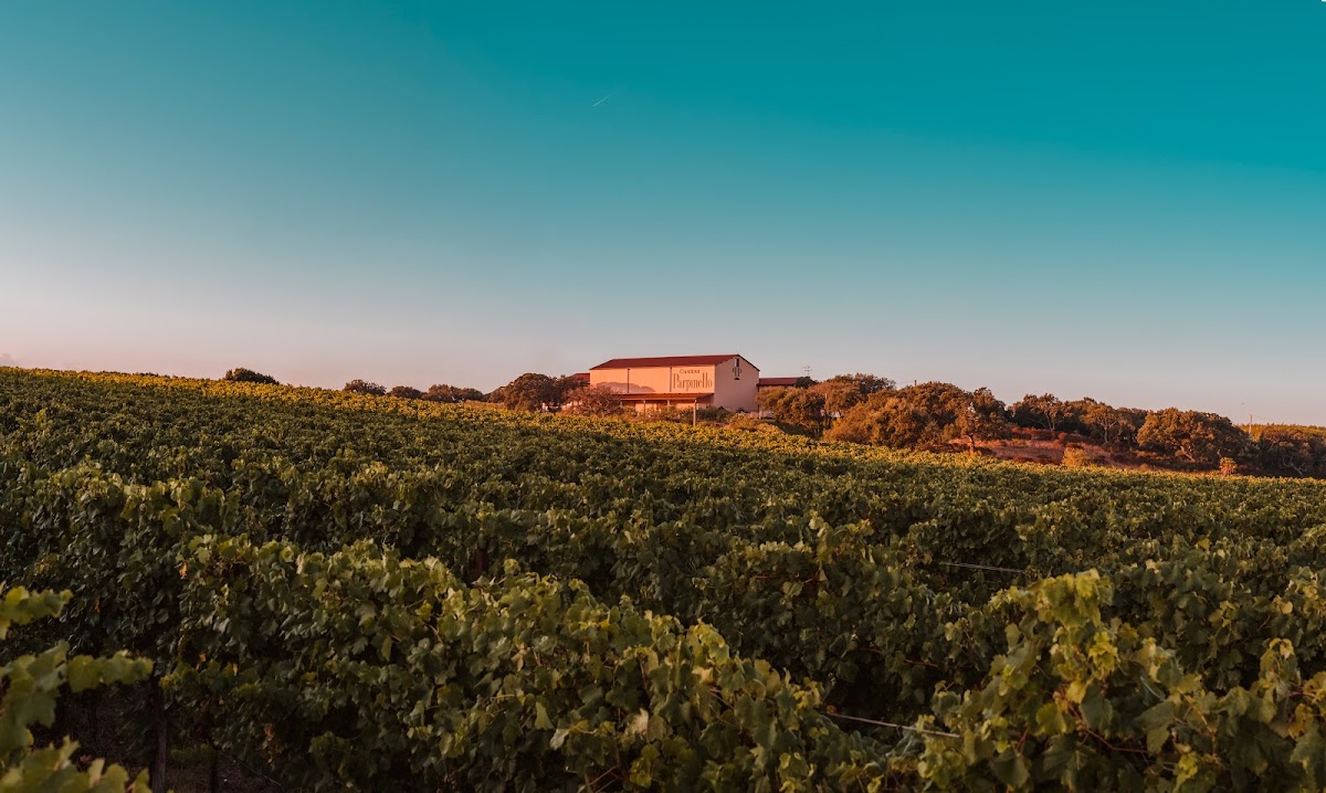 Poderi Parpinello — Ristorante a Sassari, Sassari