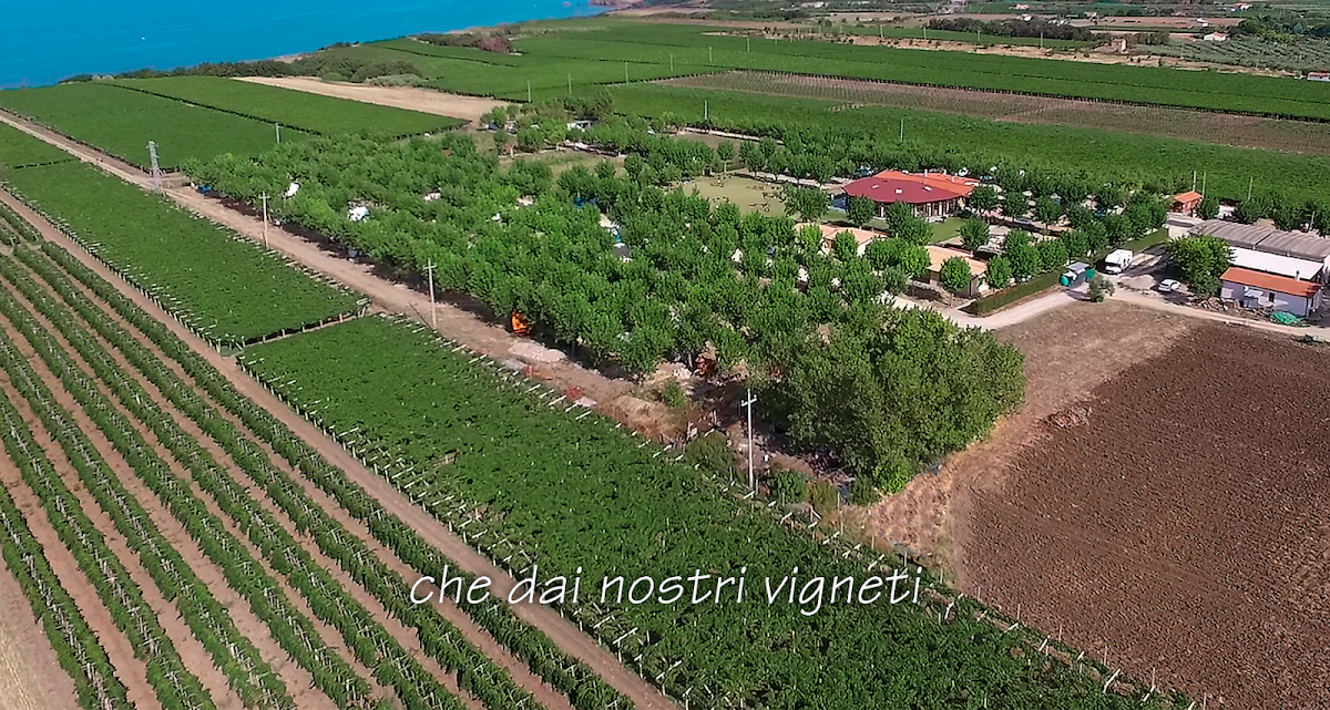 Terre D'Erce Az. Agricola — Ristorante a Vasto, Chieti