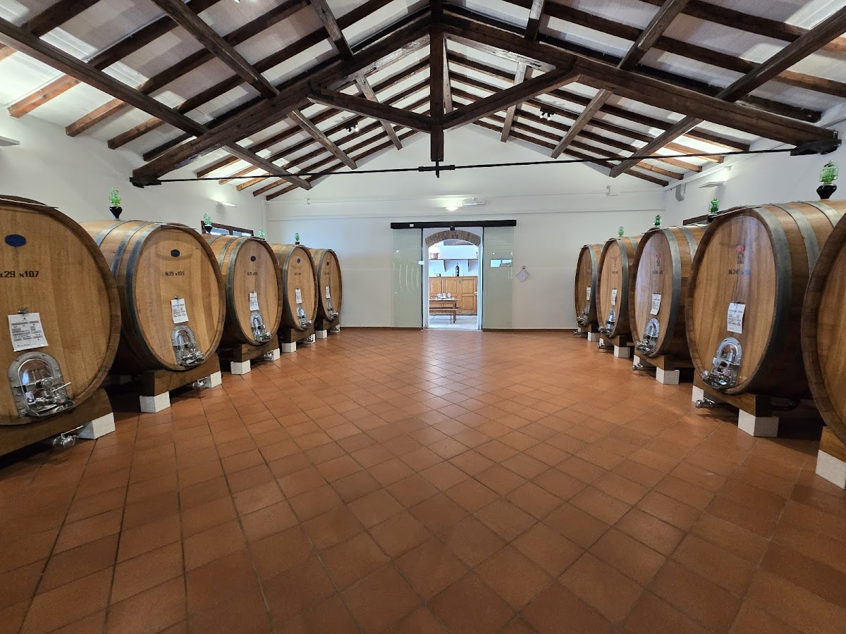 Cantine Re Manfredi — Ristorante a Potenza, Potenza