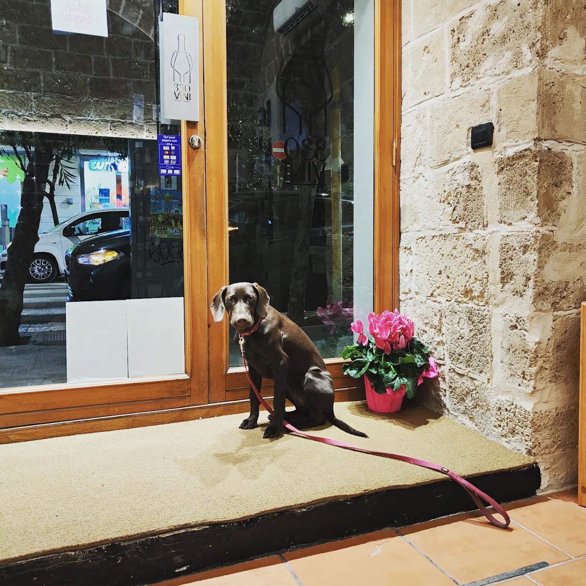 330 vini — Ristorante a Bari, Bari