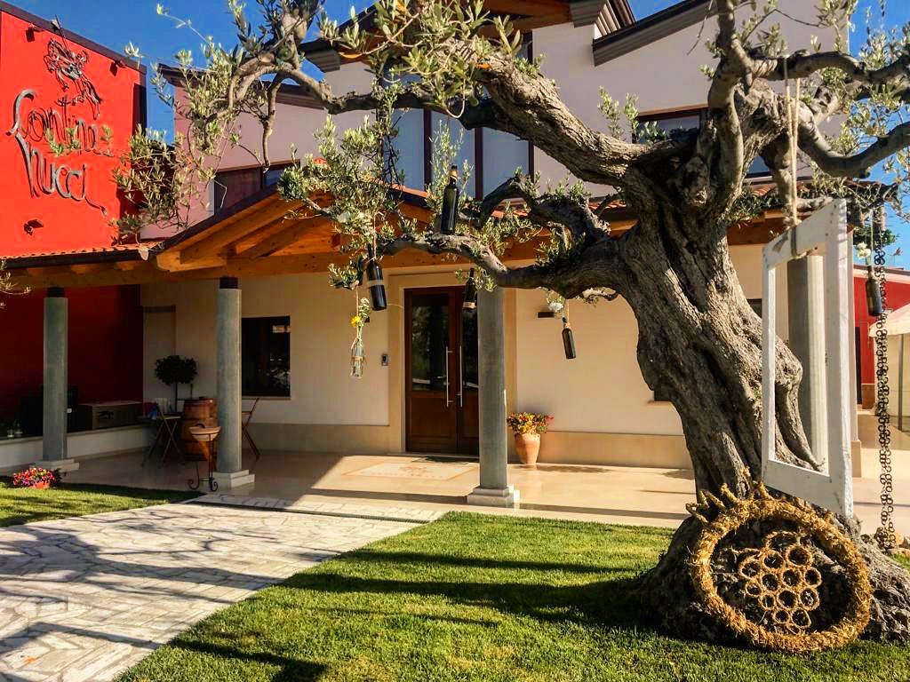 Cantine Mucci — Ristorante a Lanciano, Chieti