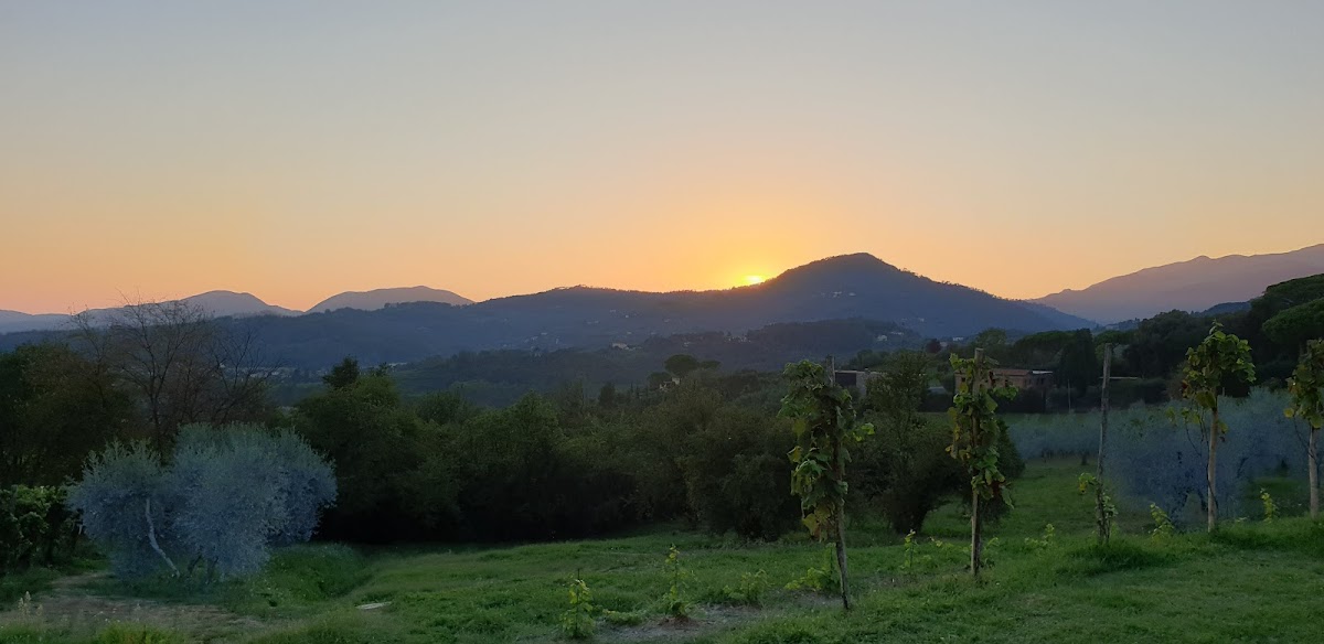 Colle delle 100 Bottiglie — Ristorante a Lucca, Lucca