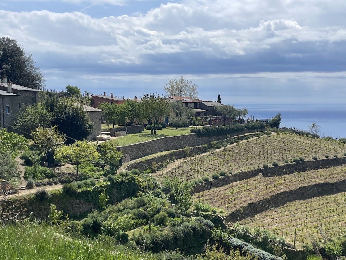 Azienda Agricola Biologica e Biodinamica Stella di Lemmen — Ristorante a Cinque Terre, La Spezia