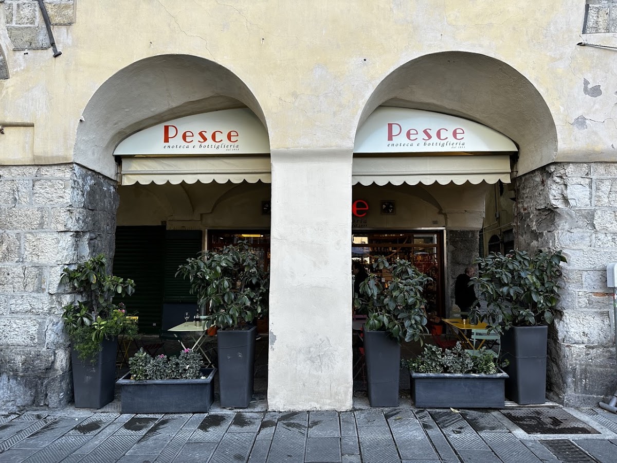 Enoteca Pesce - Wine Bar — Ristorante a Genova, Genova