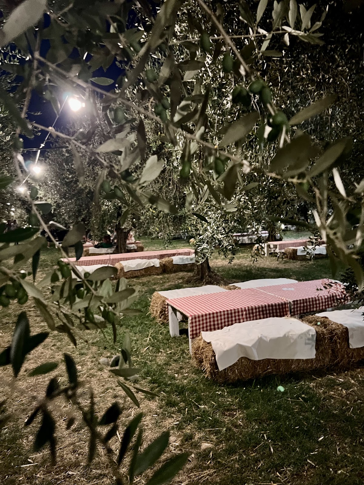 Azienda Agricola La Vinarte — Ristorante