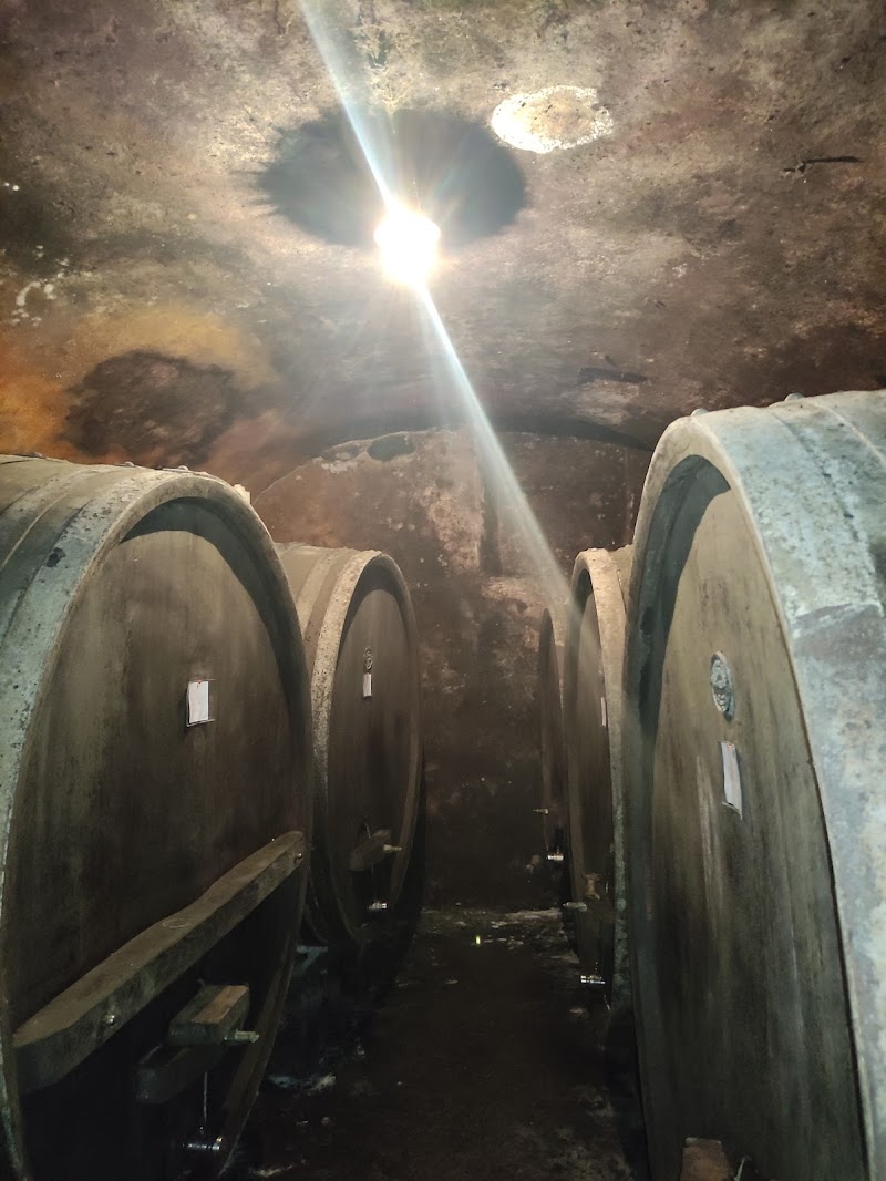 In zona: Petterino Marco