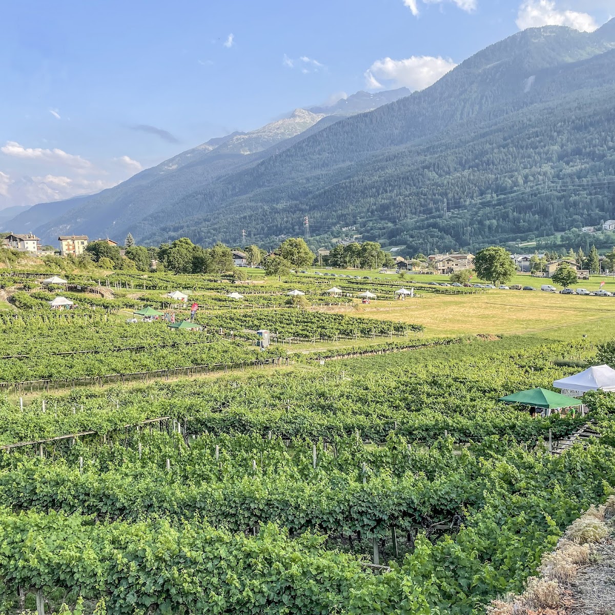 Consorzio Vini Valle d'Aosta — Ristorante a Cervinia, Aosta