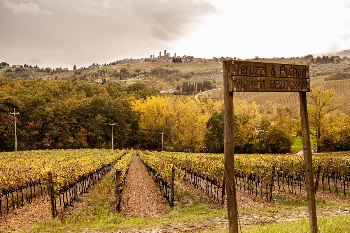 Teruzzi - Azienda, Cantina ed Enoteca — Ristorante a San Gimignano, Siena